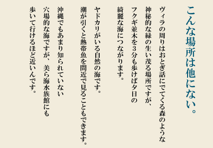 神秘的な備瀬。こんな場所は他にない。